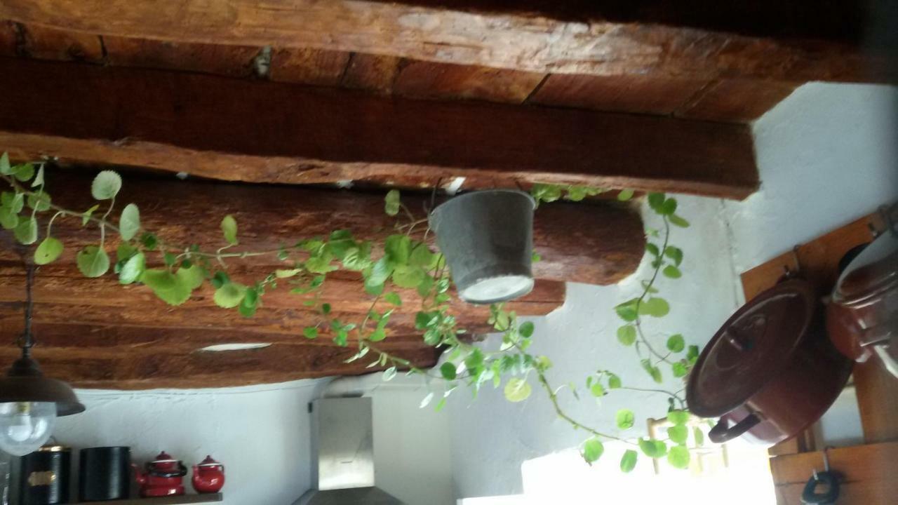 Гостевой дом La Casa De La Acequia Серон Экстерьер фото